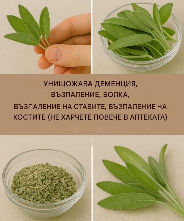 Природно чудо за здравето на мозъка, възпаленията и болките в ставите