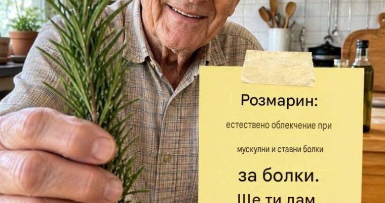 Розмарин: естествен морфин за мускулни и ставни болки. Обобщих пълната РЕЦЕПТА и правилния начин на употреба в първия коментар. Ако искате да продължите да получавате природни рецепти, просто оставете коментар. Благодаря ви!