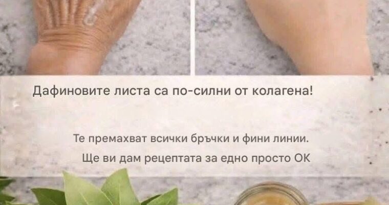 Дафинов лист: Милион пъти по-мощен от ботокс или колаген? Изглажда бръчките и фините линии по естествен път