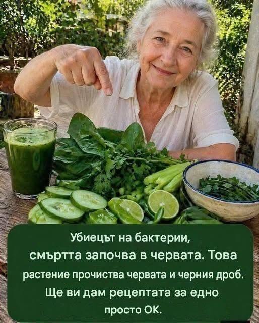 Убиецът на бактериите: смъртта започва в червата. Това растение прочиства червата и черния дроб. Ще ви дам рецептата в замяна на просто „ОК“.