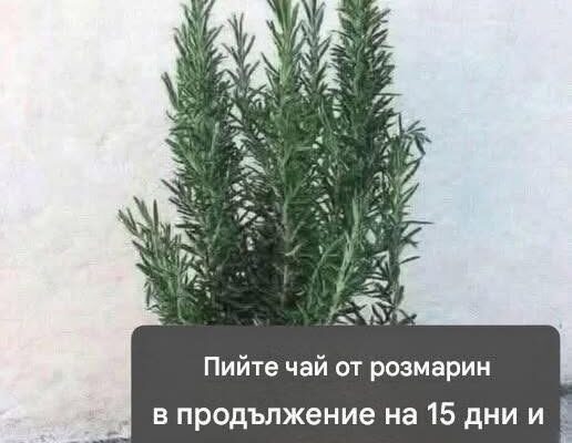 Нарича се естествен морфин, защото облекчава мускулни, ставни и ревматични болки. За да продължа да получавам…