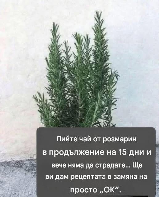 Нарича се естествен морфин, защото облекчава мускулни, ставни и ревматични болки. За да продължа да получавам…